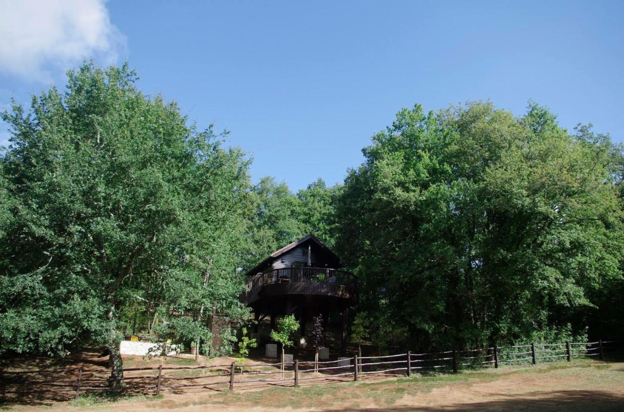Cabane De La Mesange Auriac-du-Perigord ภายนอก รูปภาพ