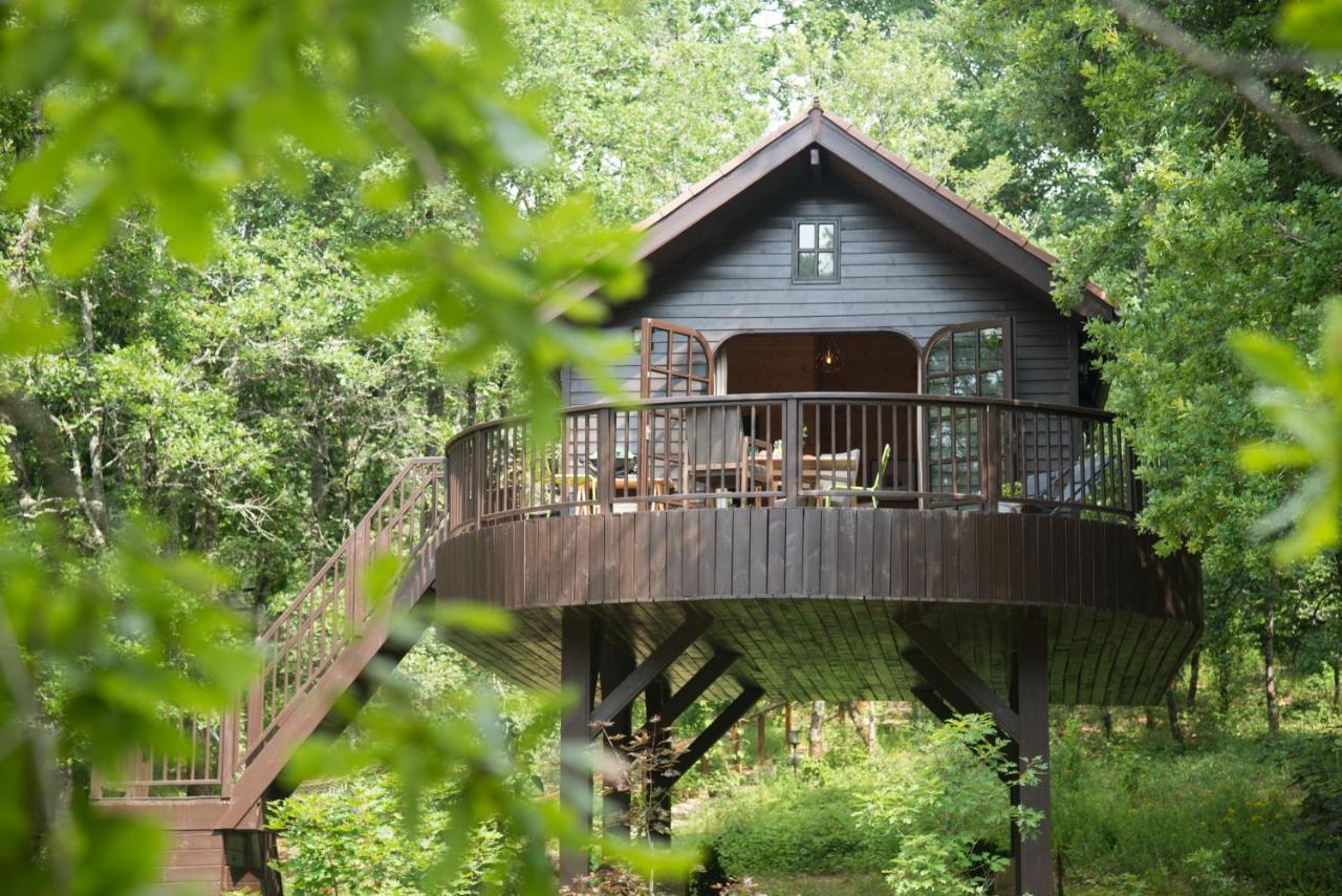 Cabane De La Mesange Auriac-du-Perigord ภายนอก รูปภาพ