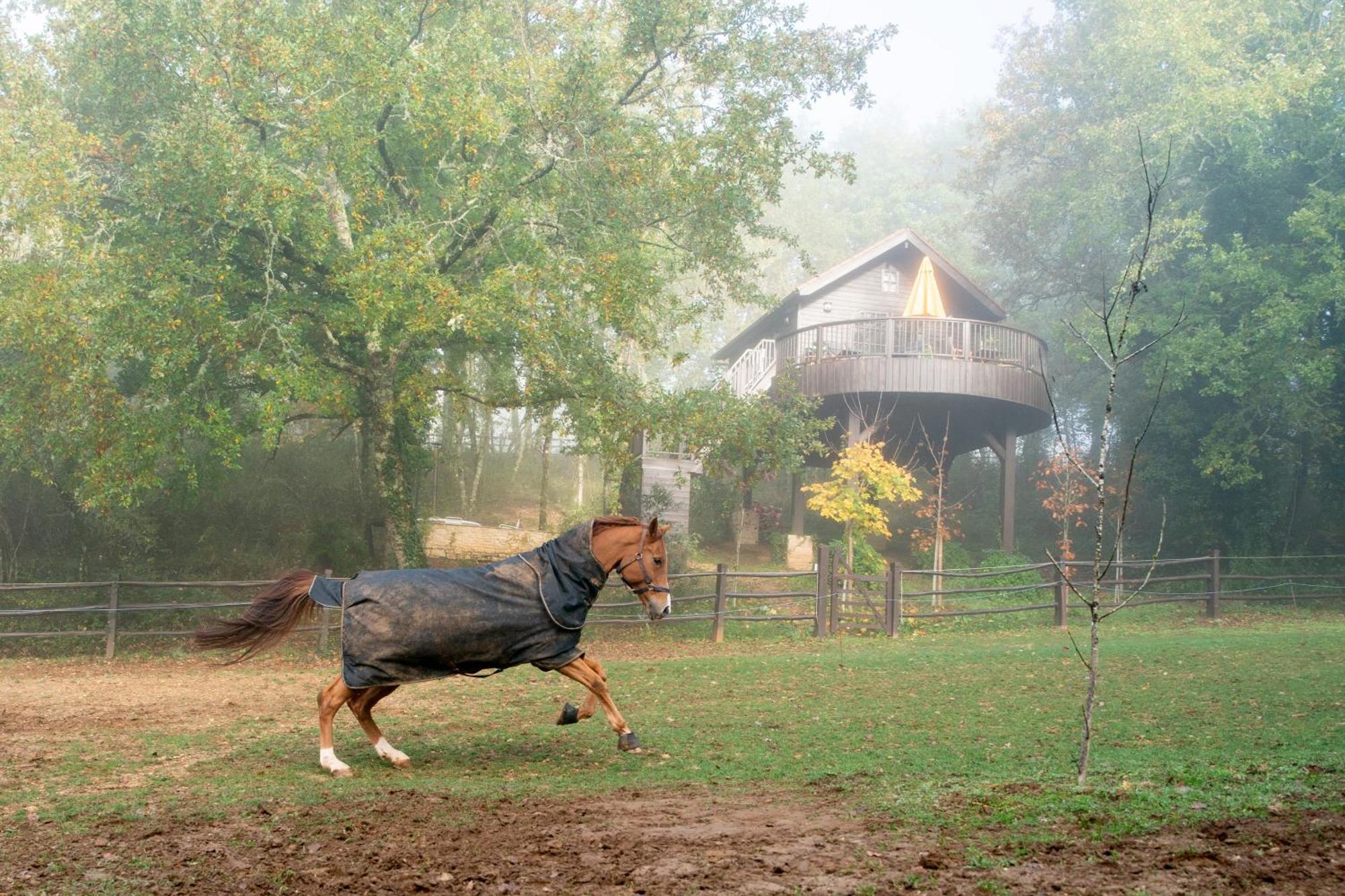 Cabane De La Mesange Auriac-du-Perigord ภายนอก รูปภาพ